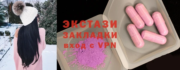 индика Кинешма