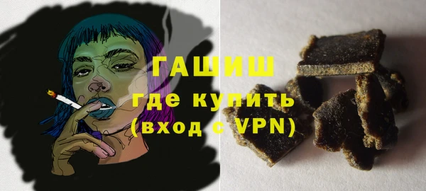 индика Кинешма