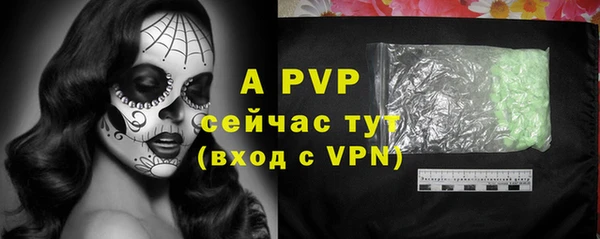 индика Кинешма