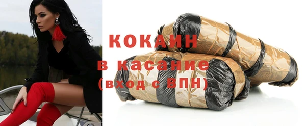 индика Кинешма