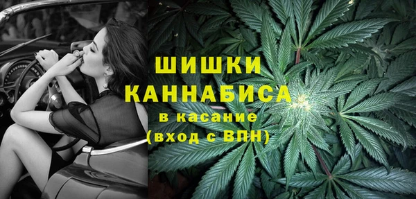 дурь Киреевск