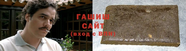 индика Кинешма