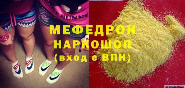 индика Кинешма