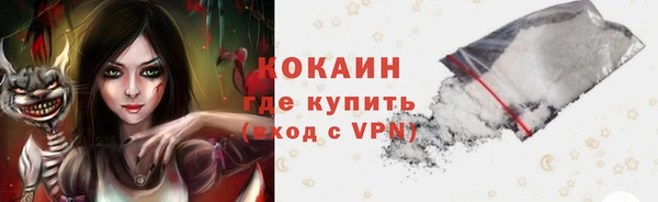 индика Кинешма