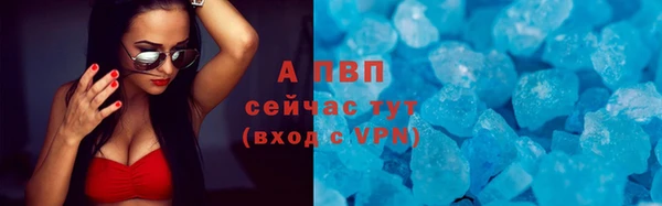 индика Кинешма