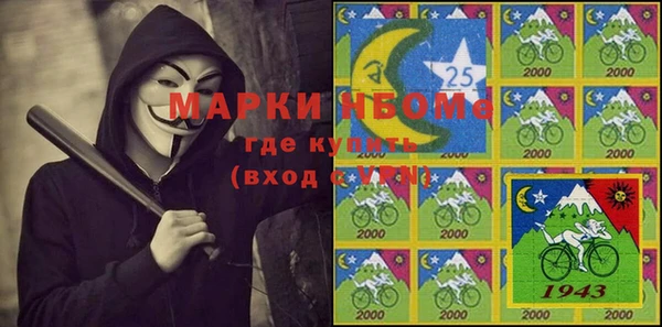 индика Кинешма