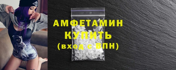 индика Кинешма