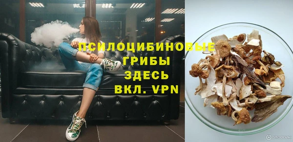 индика Кинешма
