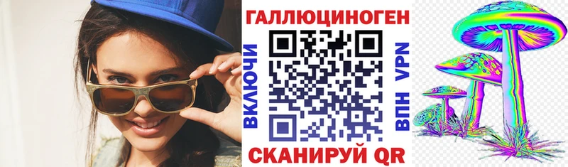 Купить  Дорогобуж  Псилоцибиновые грибы Psilocybe 