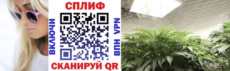 Купить  Дорогобуж  Бошки Шишки OG Kush 